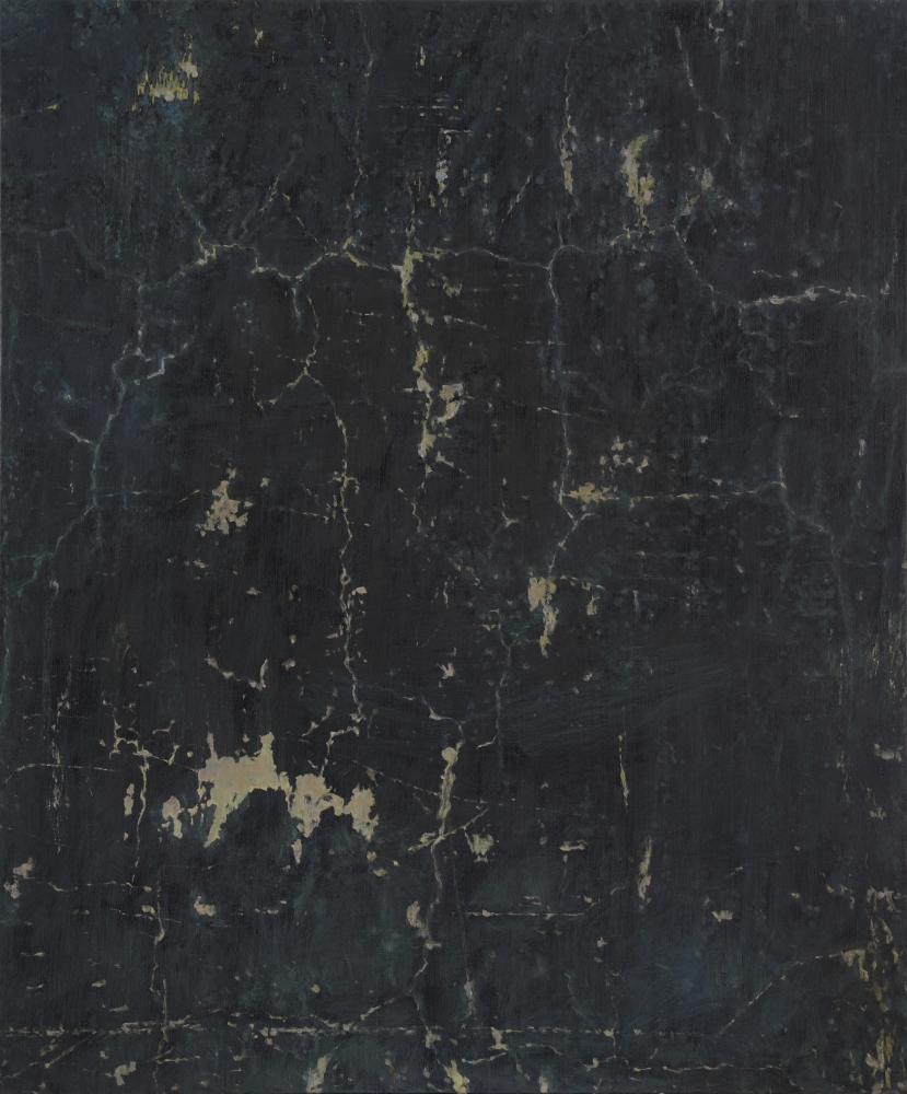 ABIR KARMAKAR

Surface 1, 2020

Oil on canvas

36 x 30 in / 91.4 x 76.2 cm